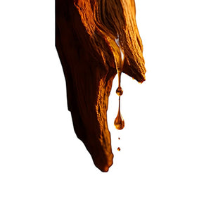 PURE OUD