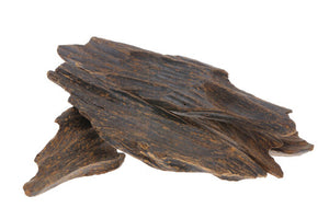 OUD
