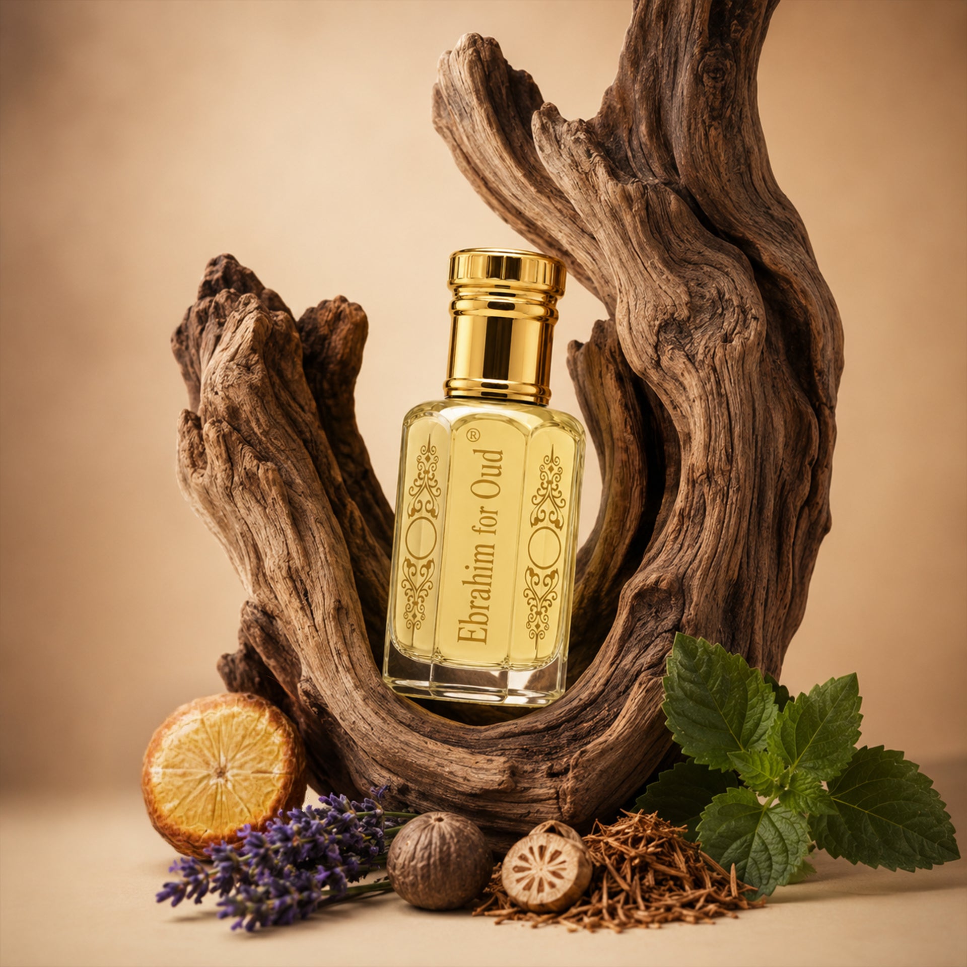 Marjaan Attar